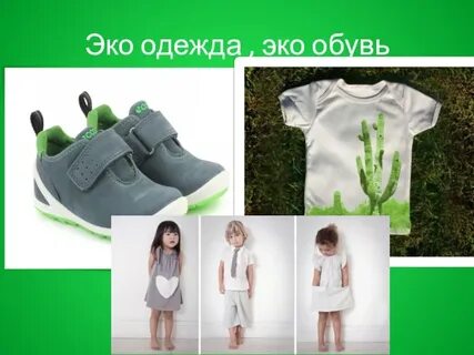 Эко сообщение