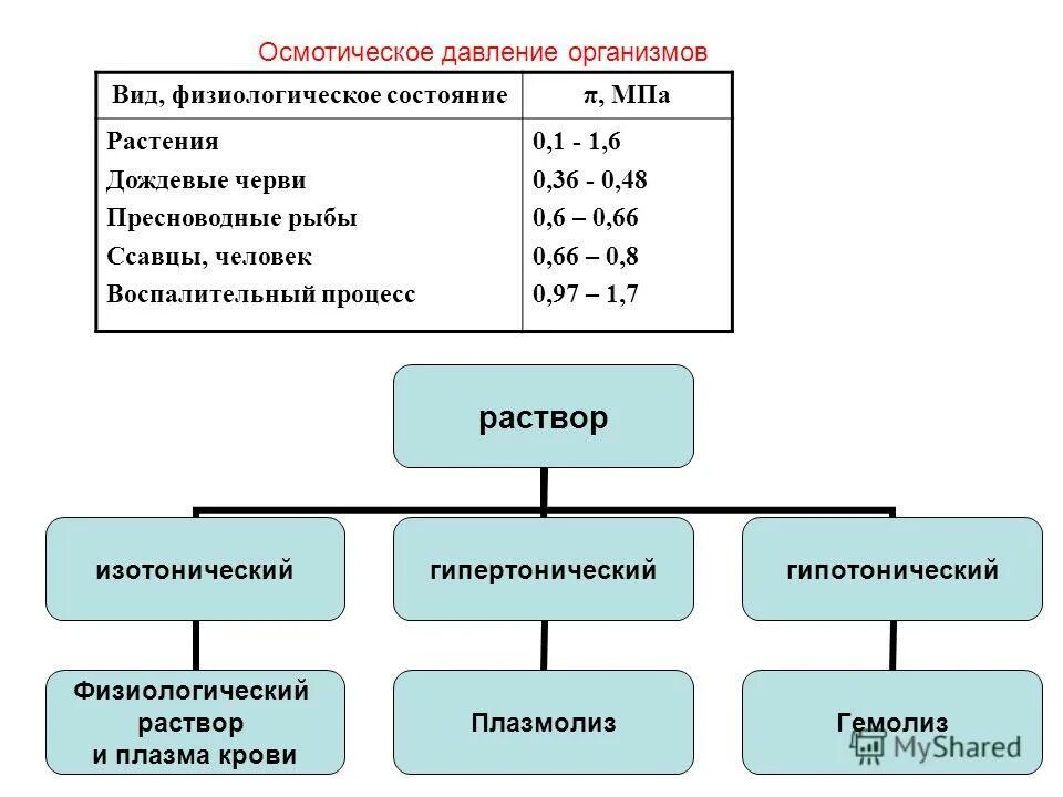 Какой раствор называют физиологическим. Типы физиологических растворов. физиологические растворы примеры. виды осмотических растворов. физиологические растворы и их биологическое значение.