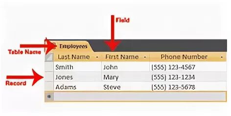 Number fields