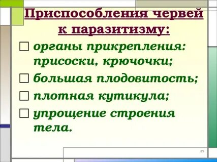 Практическая работа изучение приспособлений червей к паразитизму