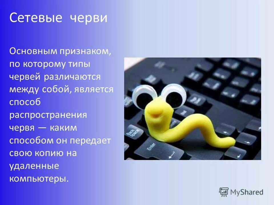 Сетевые черви это в информатике. Сетевые черви это в информатике. Сетевые черви. Сетевые черви это в информатике. Сетевые черви это в информатике.