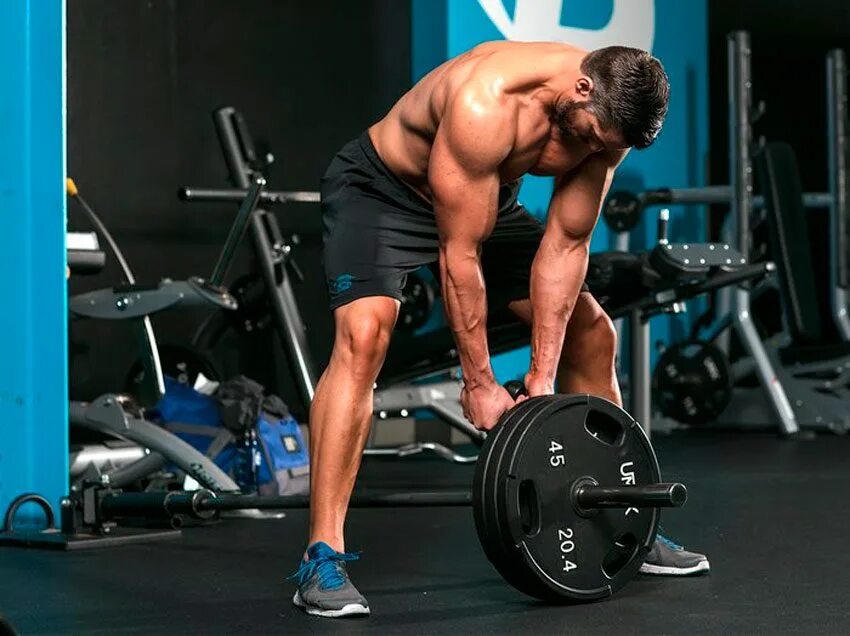 тяга т-грифа широким хватом. тяга штанги стоя в наклоне для спины. тяга блока вниз прямыми руками. тяга нижнего блока узким хватом. Barbell bent over row.