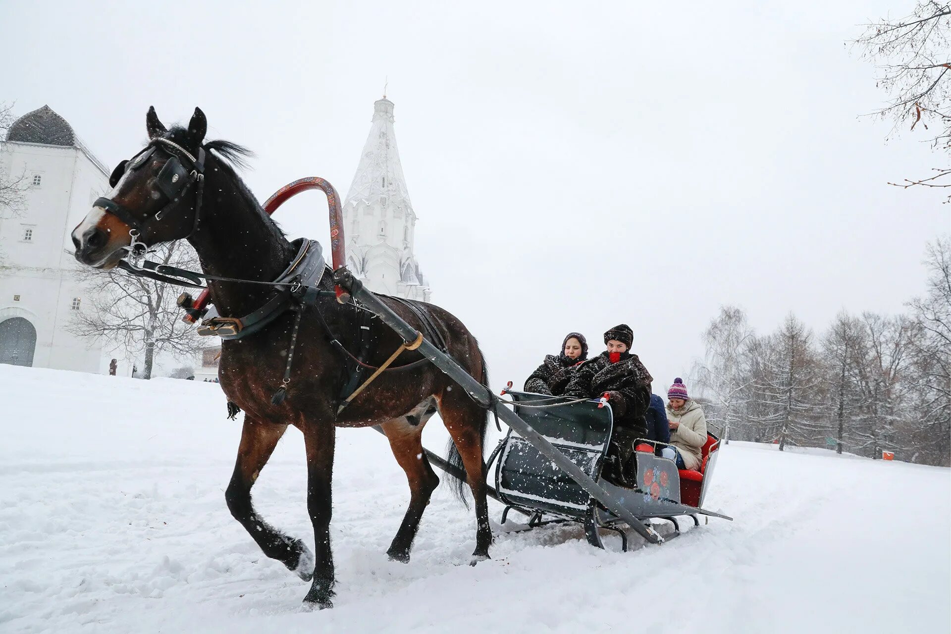 Лошадка москва. Парк Коломенское конюшня. Покататься на лошадях в Коломенском. Коломенское катание на лошадях. Сани для упряжки лошадей.