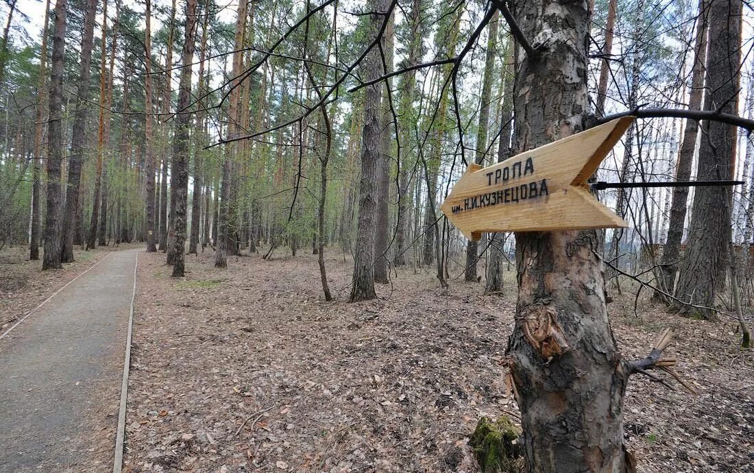 Тропе имя. Информационные стенды экотропа. Информационный стенд в лесу. Тропы примеры. Тропе имя.
