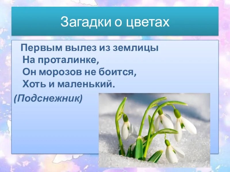 Загадки о весне для детей 8 9. Загадка про Подснежник. Весенние загадки. Загадки о цветах. Загадки про весну.