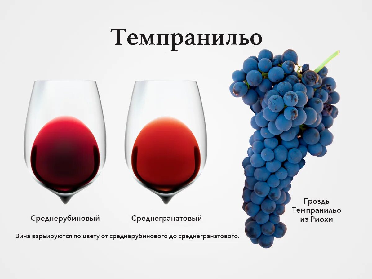 Темпранильо сорт вина. Сорт винограда темпранильо вино. сорт винограда темпранильо испания. темпранильо сорт винограда описание. сорт винограда темпранильо вкус.