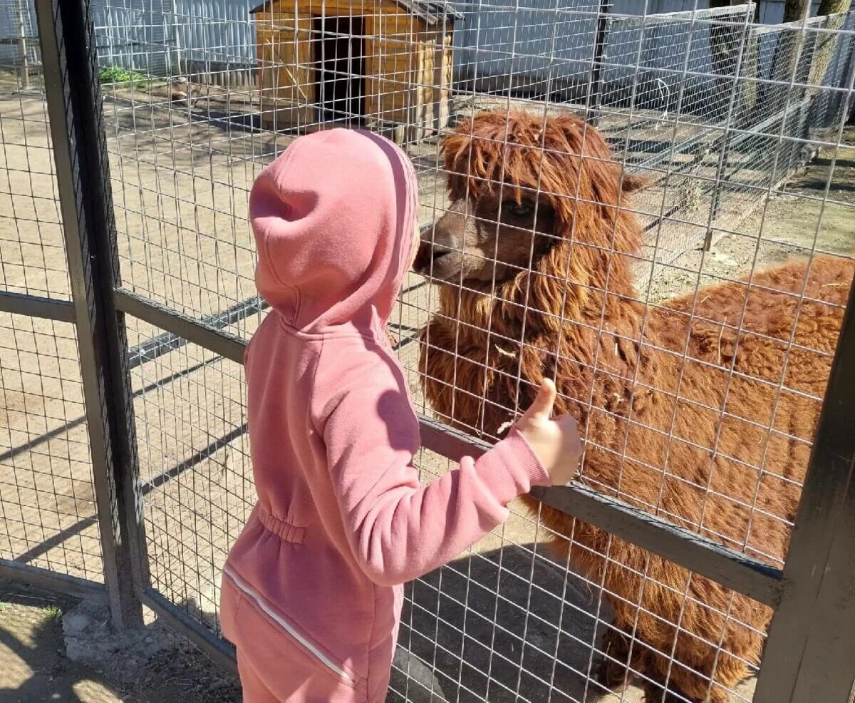 Опекун животных