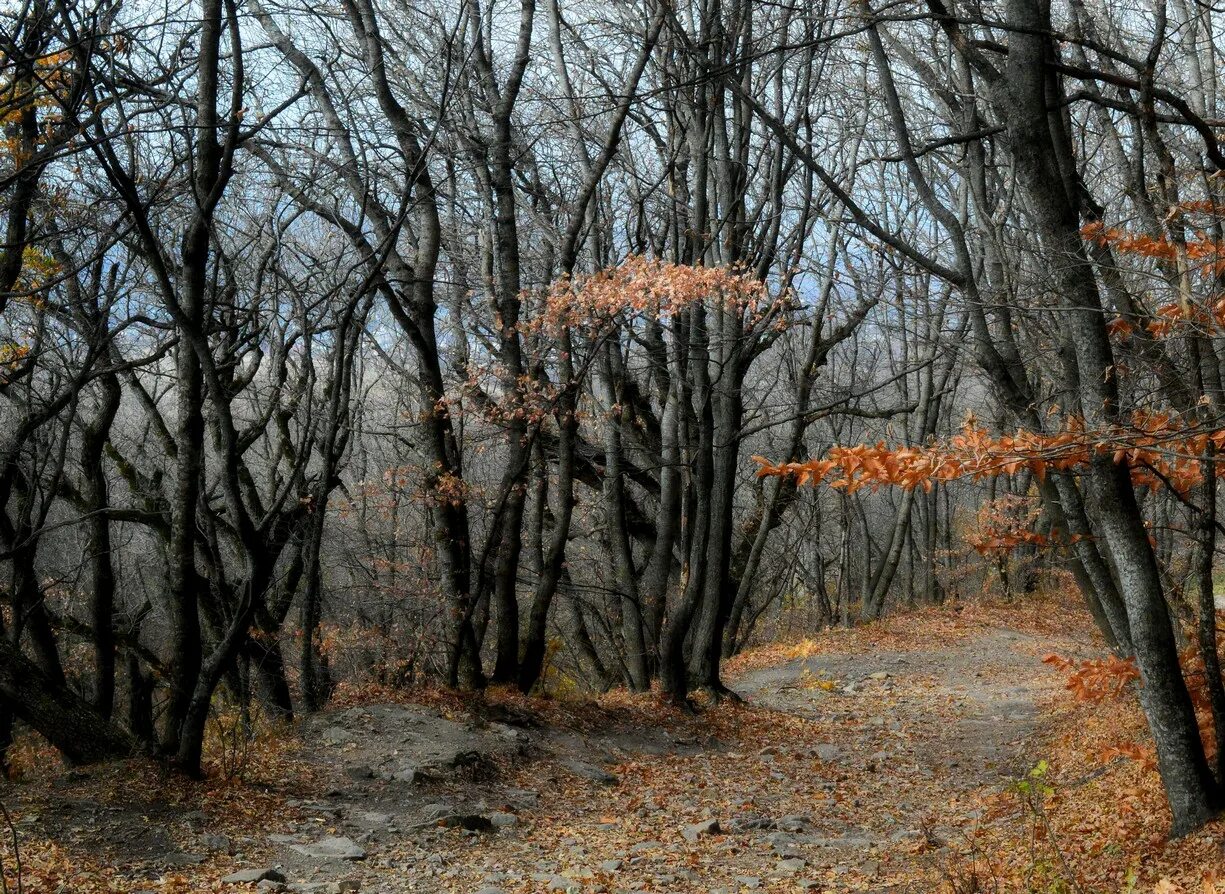 Железноводск октябрь. Железноводск в октябре.