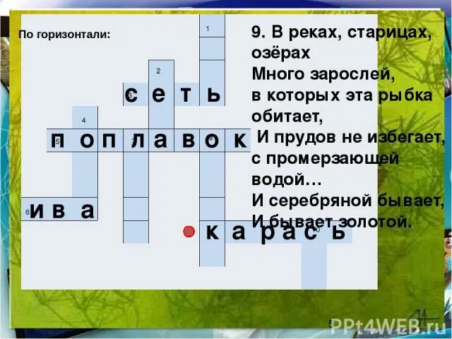 Составить кроссворд природное сообщество река. Кроссворд Речной транспорт. Кроссворд с реками 10 вопрос. Кроссворд про речных рыб.