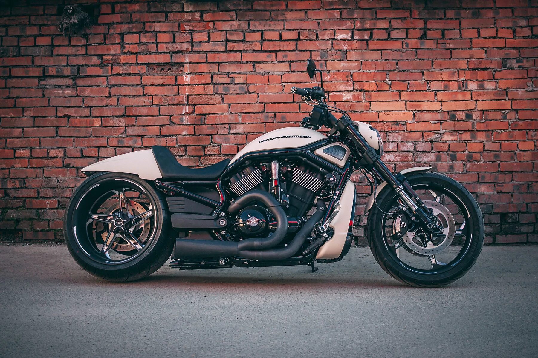 Харлей Дэвидсон v-Rod. Harley Davidson v-Rod Box 39. Харлей Дэвидсон Night Rod Custom. Мотоцикл Харлей Дэвидсон v-Rod Custom. Box39 мотоциклы купить