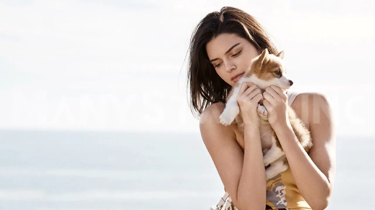 Яна швейг. Женская песня сердца. Sev музыкант. Иванка якимюк. Майна хасанова, кинофильм.