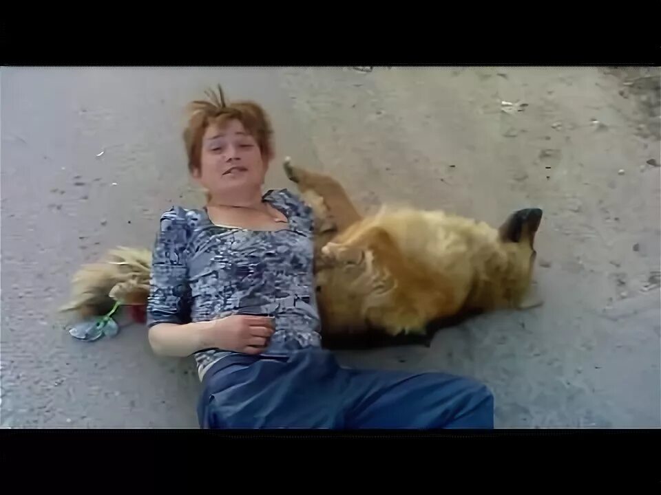 Толстая баба с собакой. Пьяные бабы и собаки кобели. Фото пьяной женщины с собакой.