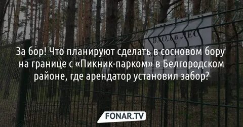 Управляющие компании бор