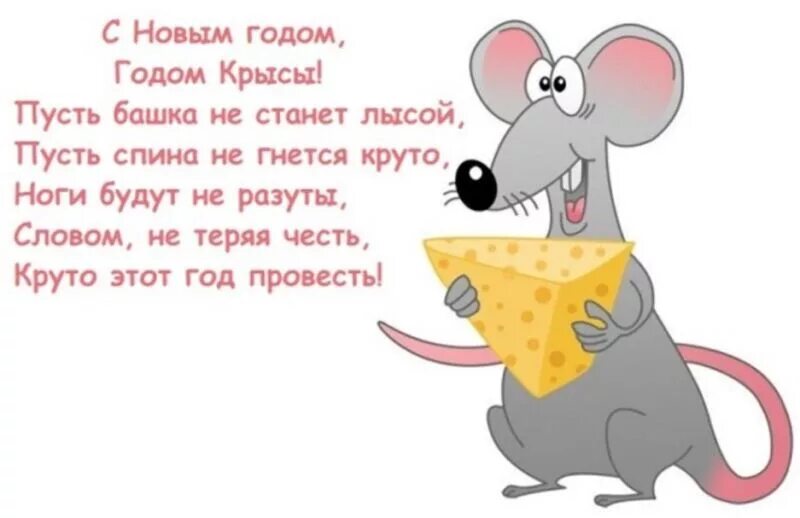 2024 год для девы женщины крысы