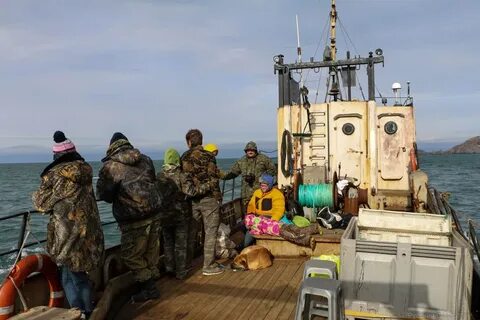 Запрет ловли в баренцевом море