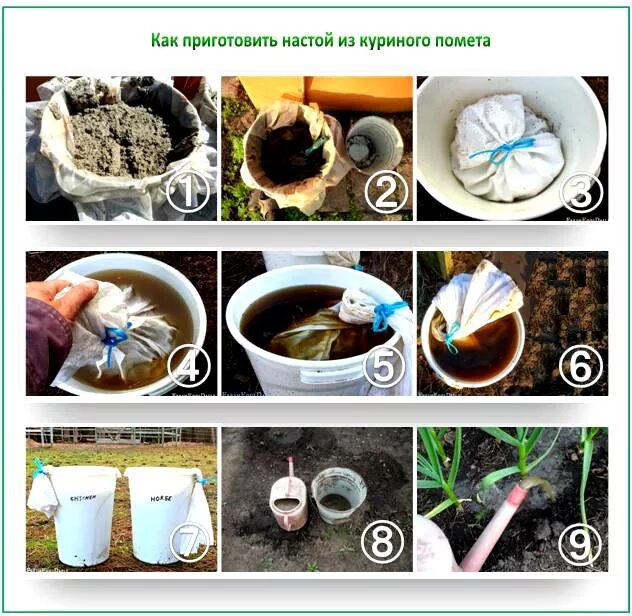 Настой из куриного помета. Органические удобрения приготовление. Куриный помет растениям. Органические удобрения своими руками.