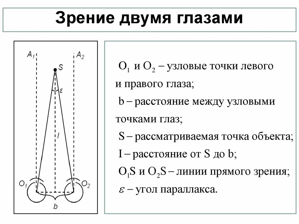 Какое преимущество дает зрение. Зрение двумя глазами. Преимущество зрения двумя глазами. Какие преимущества дает зрение двумя глазами?. Какие преимущества дает зрение двумя глазами картинки.