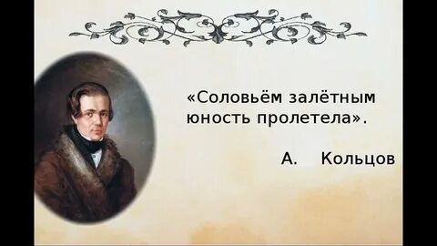 Соловьи автор текста