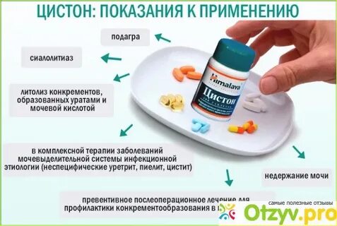 Как принимать таблетки цистон взрослым