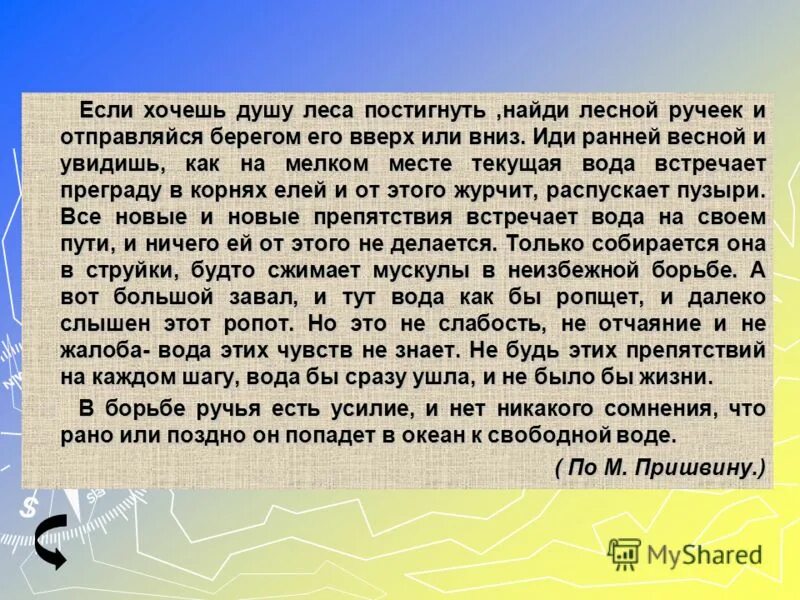 Я иду берегом своего любимого ручья. Если хочешь душу леса постигнуть Найди Лесной ручей. Если хочешь понять душу леса сочинение. Если хочешь душу леса постигнуть разыщи какой-нибудь. Диктант если хочешь душу леса постигнуть.