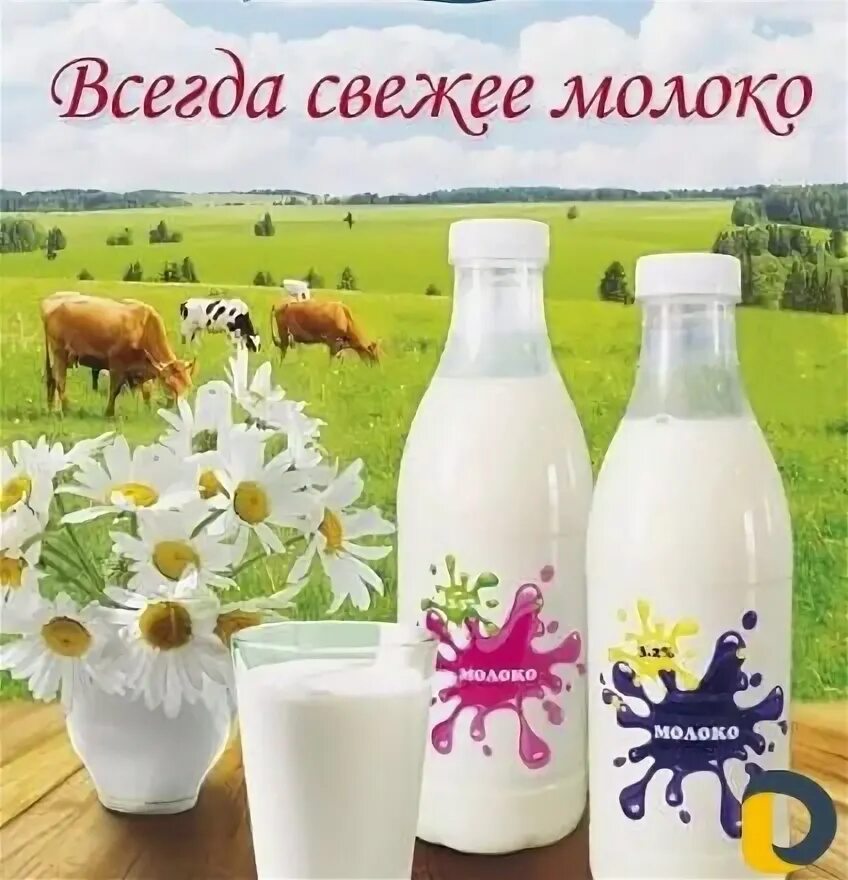 Всегда свежее. Реклама молочной продукции. Реклама молочных продуктов. Баннер молочной продукции. Молоко реклама.