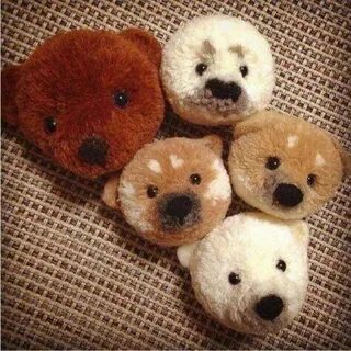Пряж животное