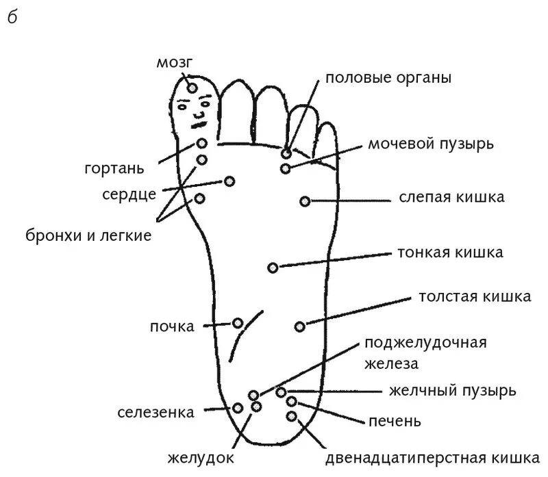 Су Джок точки на стопе. Су Джок точки на стопе ноги. Су Джок проекция органов на стопе. Су Джок терапия атлас точек на стопе.