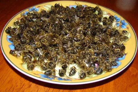Подмор пчелиный рецепт приготовление