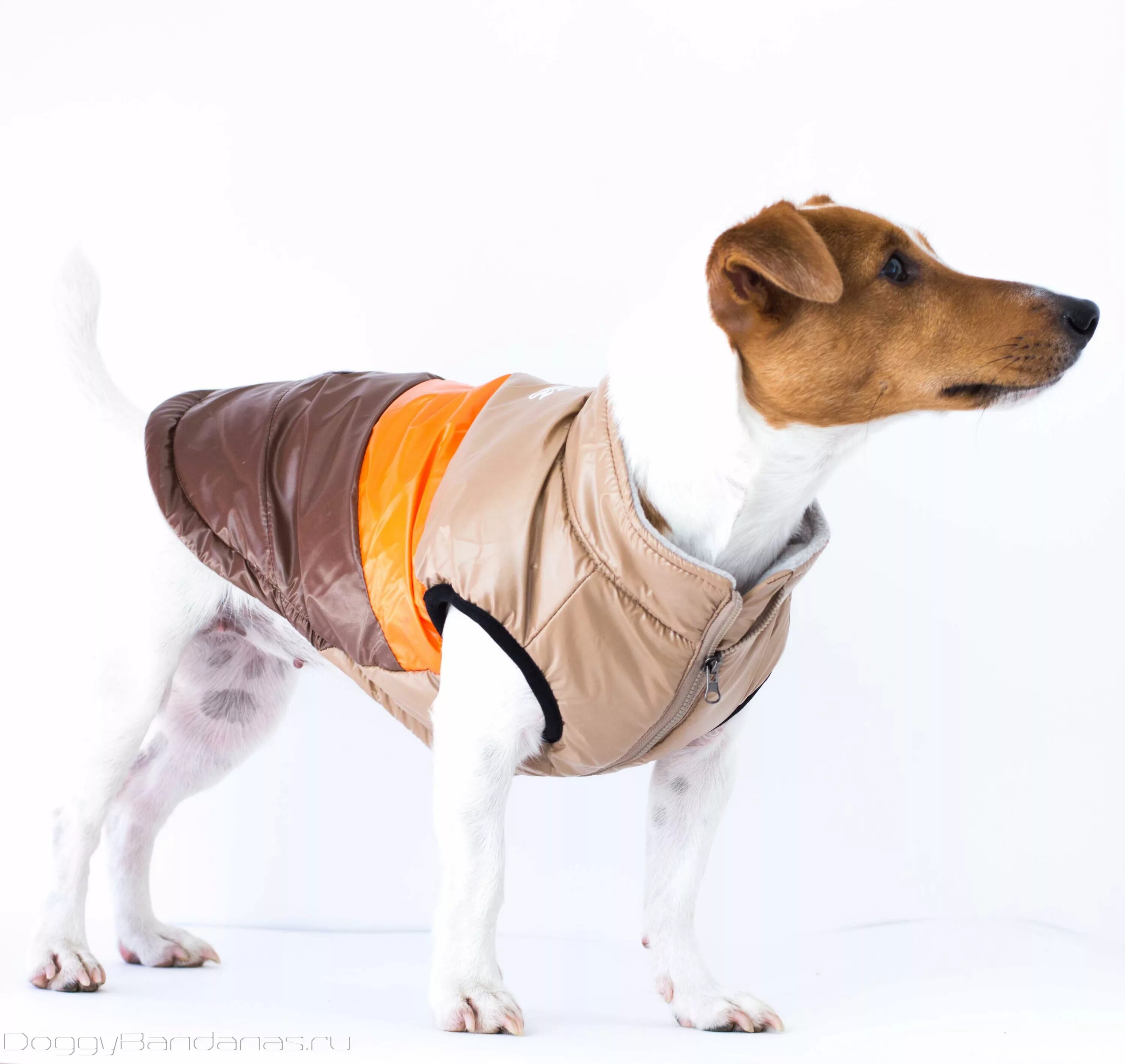 Костюмы для больших собак. Дождевик для собак ferplast baubau moda raincoat 50 см. Одежда для собак мелких пород formydogs. Комбинезон-дождевик для собак. Одежда для собак средних размеров.