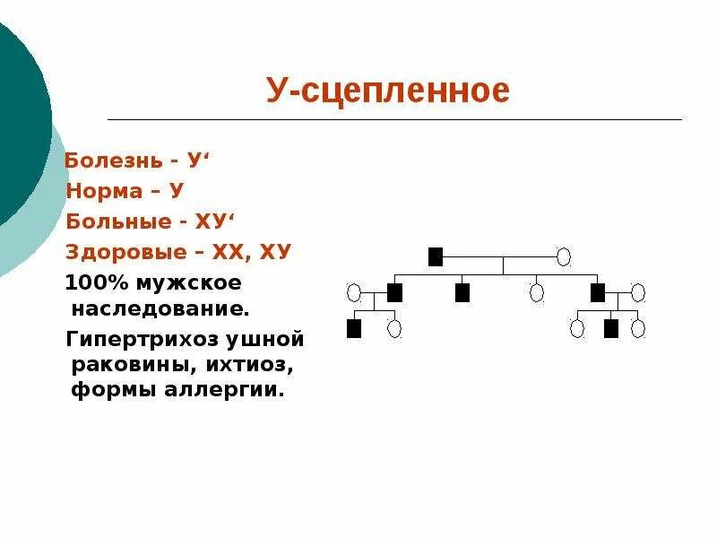 Заболевания сцепленные с y хромосомой. Гипертрихоз ушной раковины Тип наследования. Наследование гипертрихоз Тип наследования. Гипертрихоз ушной раковины Тип наследования аутосомно-доминантный. Наследование гипертрихоза схема.