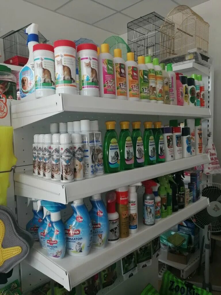 четыре лапы галерея чижова. пенза зоомагазин планета зоо. магазин для животных калининград. зоогалерея в вегасе кунцево. сосногорск зоомагазин 6 микрорайон.