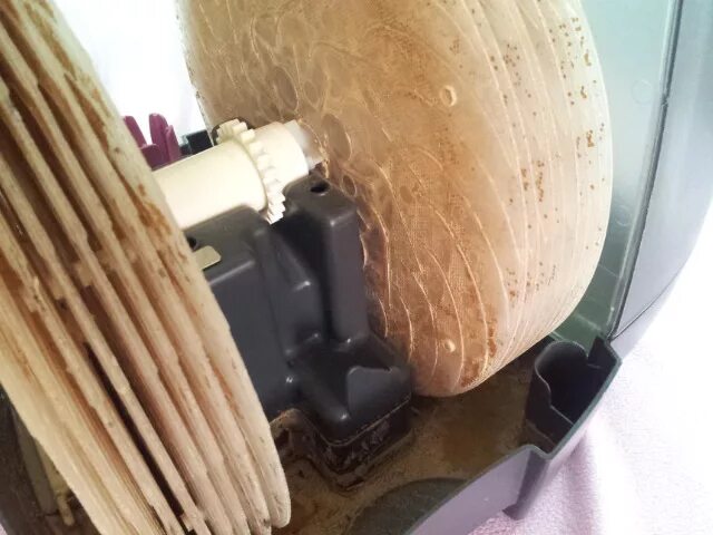 известковый налет в увлажнителе воздуха. розовый налет в увлажнителе воздуха. плесень в увлажнителе воздуха. накипь на увлажнителе воздуха. налет в увлажнителе воздуха.