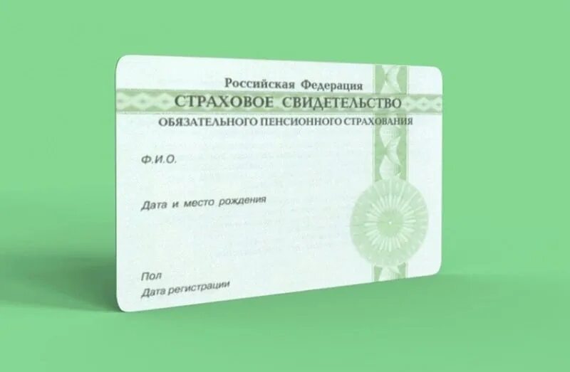 Можно ли получить снилс иностранному гражданину. Страховой номер индивидуального лицевого счета. где в свидетельстве о рождении снилс ребенка.