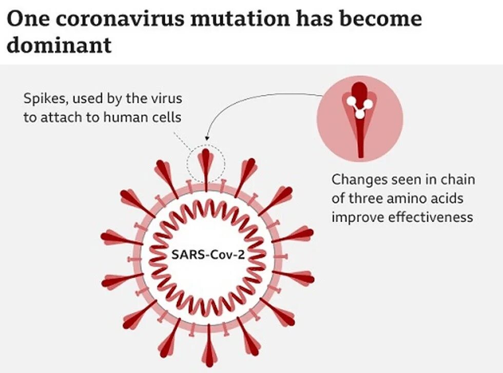 Мутации коронавируса Covid-19. Вирус коронавирус. Коронавирус мутации. Вирус МУТАНТ коронавирус.