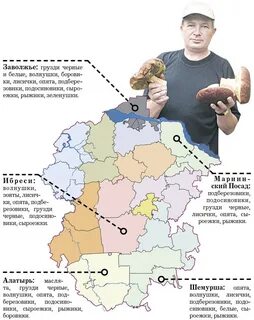 Грибная карта марий эл