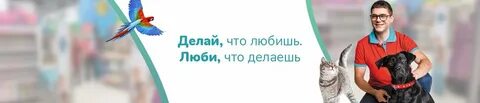 Зоомагазин вакансии