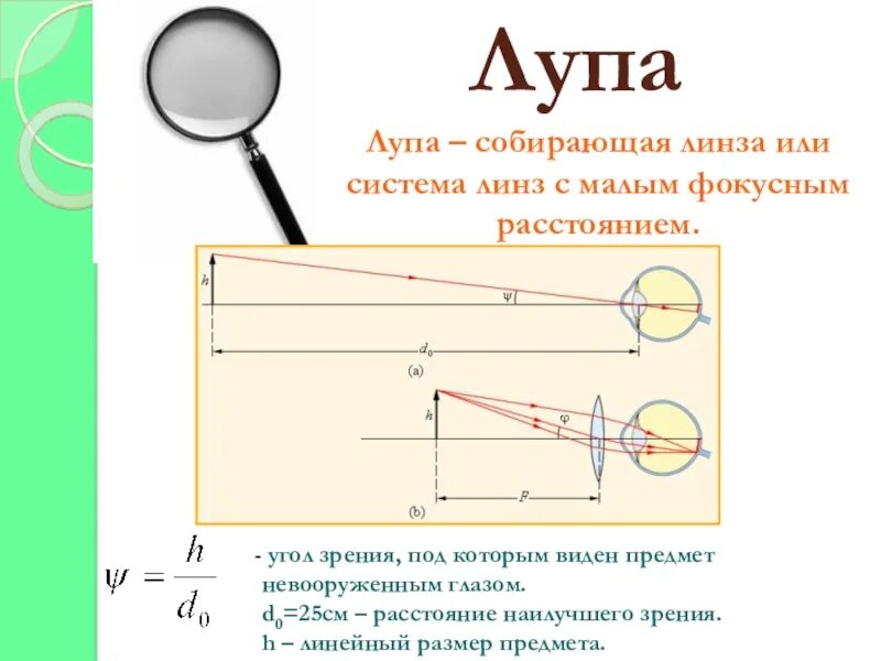 Оптическая линза назначение