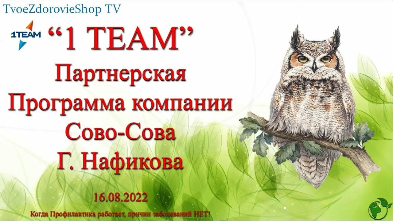 Сайт сова прямой эфир. Компания Сова Сова. Сово Сова маркетинг план компании. Продукты компании сово-Сова. Компания сово-Сова картинки.