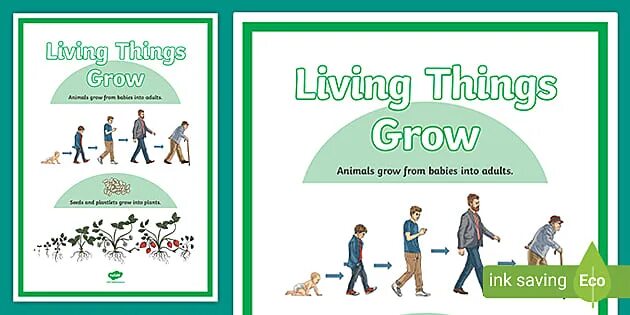 Living things grow and change. Growing up great книга.