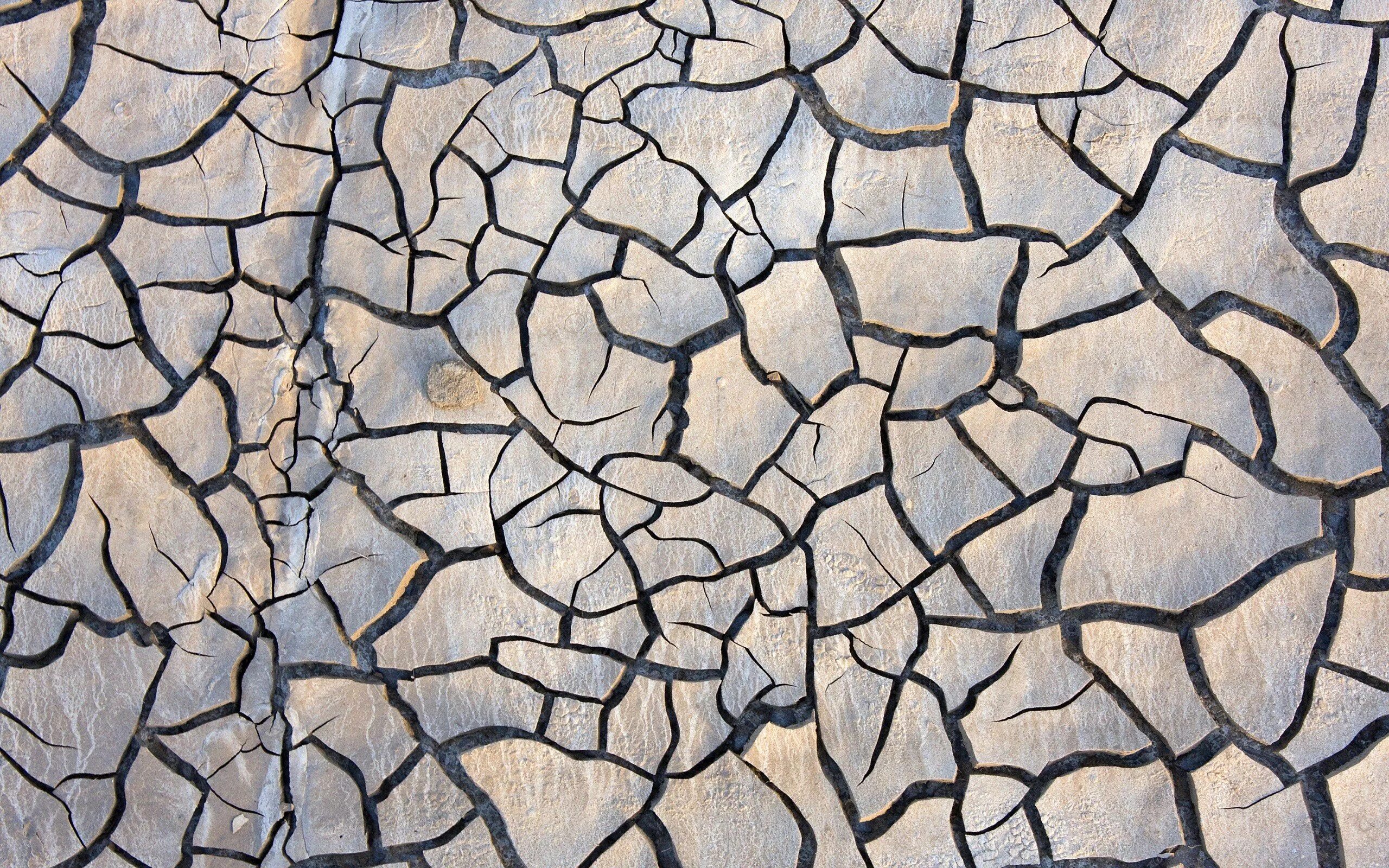 Random texture