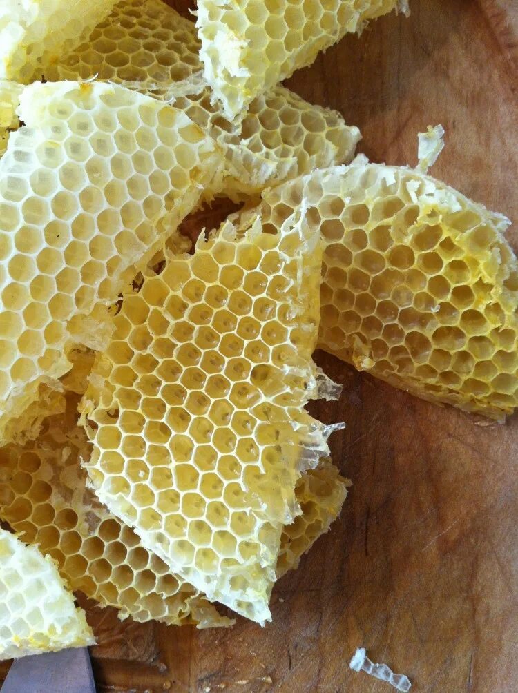 Искусственная восковая основа пчелиных сот 6 букв. Пчелиный воск. Соты пчелиные. Восковые соты. Соты меда.