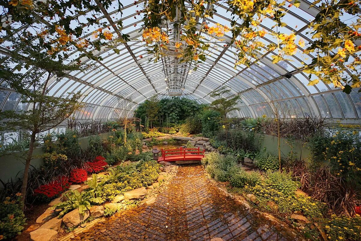 Оранжерея Ботанический зимний сад. Ботанический сад Цицина. «Зимний сад» оранжерея Пэкстон.