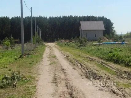 Погода в ягуле завьяловский