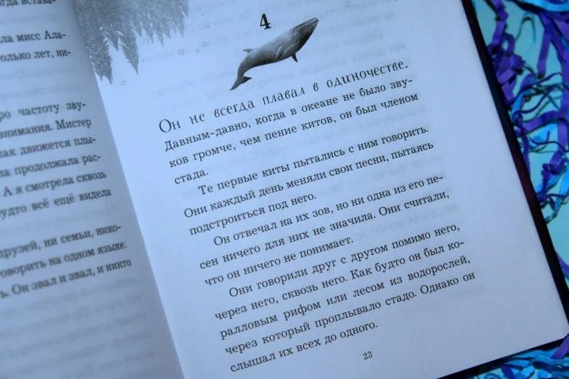 Перевод песни кит. Перевод этой песни. Стихотворение про кита. Ночь китов южно-сахалинск. Перевод песни кит.
