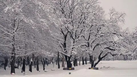 Год назад зимой