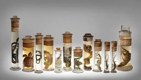 Science collections