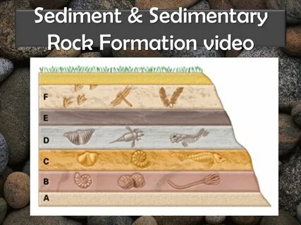 Sediment