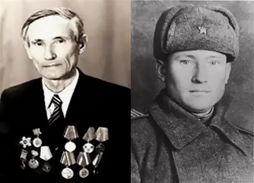 Н д плотниковым