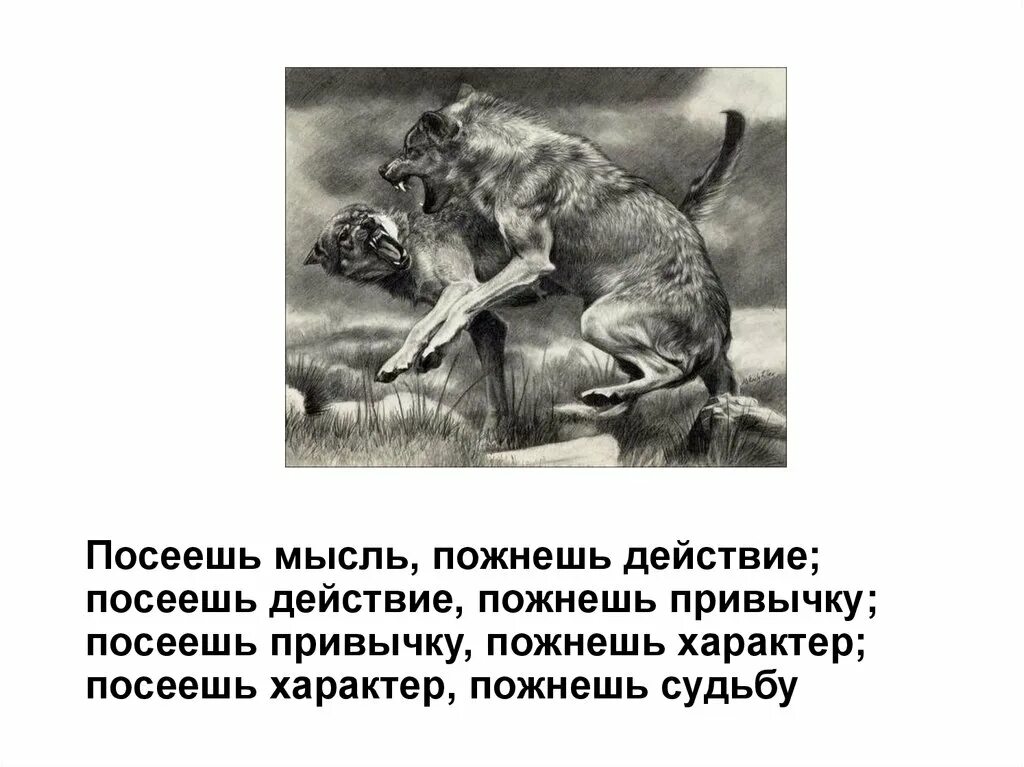 Посеешь мысль пожнешь. Посеешь мысль пожнешь