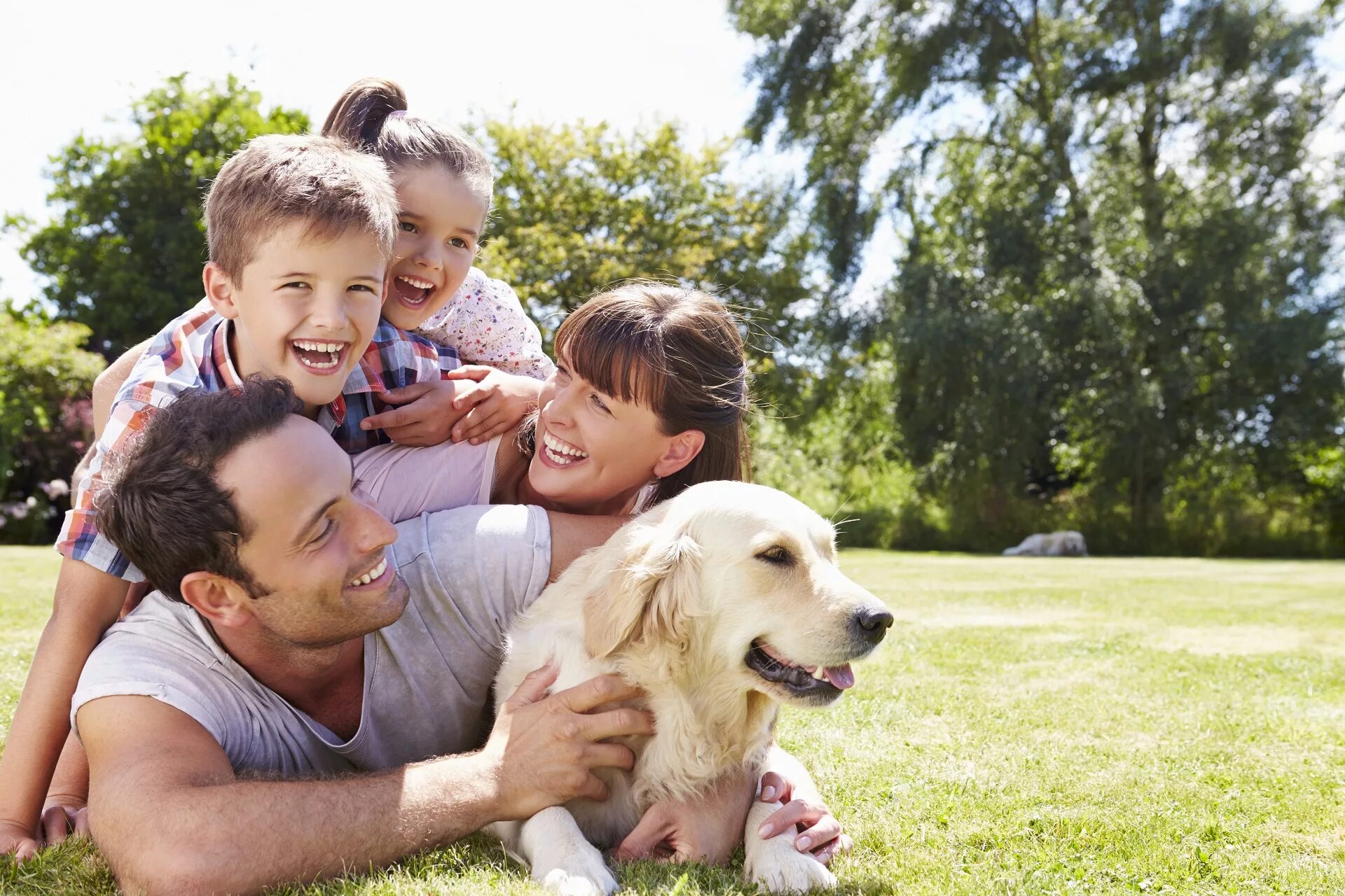 Pet family отзывы. Собаки для семьи с детьми. Счастливая семья с собакой. Семья со счастливым ребёнком. Счастливой семье и домашние животные.